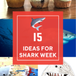 Shark week activities for Pinterest